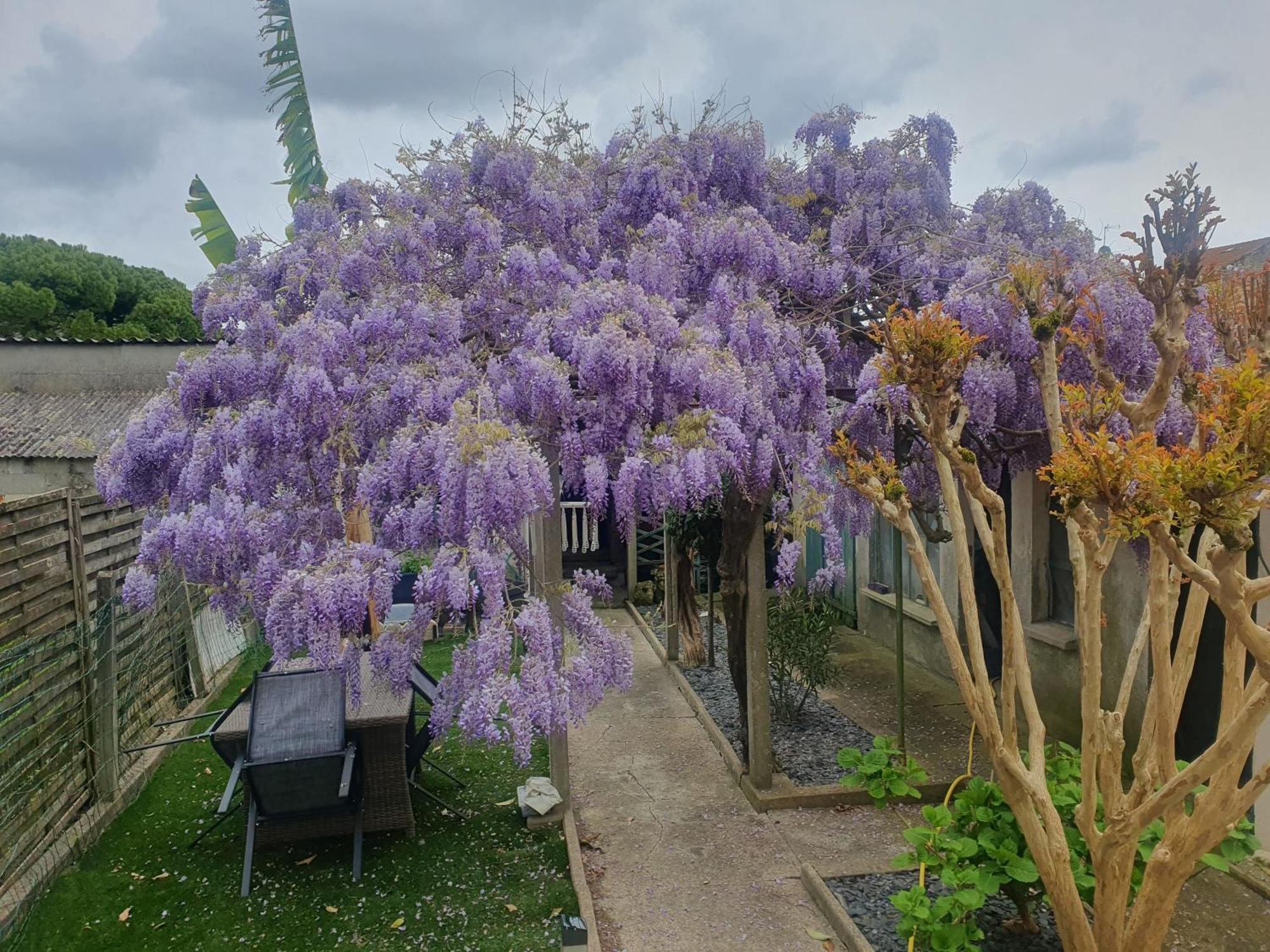 Sympas A Apartment *